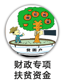财政专项扶贫资金
