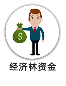 经济林资金