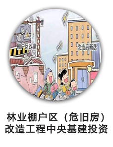 林业棚户区（危旧房）改造工程中央基建投资