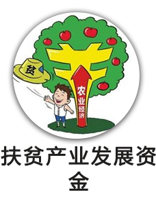 民生资金项目补贴