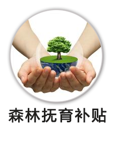 森林抚育补贴